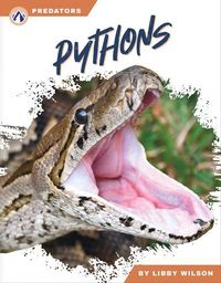 Produktbild: Pythons