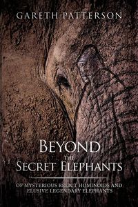 Produktbild: Beyond the Secret Elephants