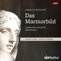 Produktbild: Das Marmorbild