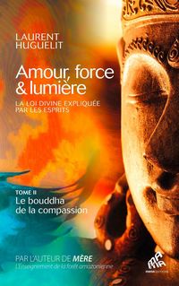 Produktbild: Amour, force & lumi&egrave;re : la loi divine expliqu&eacute;e par les esprits