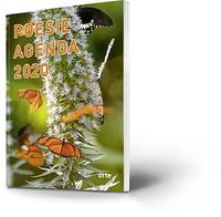 Bild vom Artikel Poesie Agenda 2020 vom Autor Jolanda Fäh
