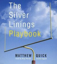 Produktbild: SILVER LININGS PLAYBOOK 6D