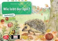 Produktbild: Wie lebt der Igel? Kamishibai Bildkartenset.