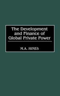 Produktbild: The Development and Finance of Global Private Power