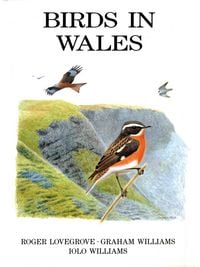 Produktbild: Birds in Wales