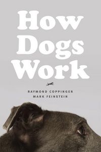 Produktbild: Coppinger, R: How Dogs Work