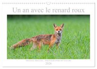 Produktbild: Un an avec le renard roux (Calendrier mural 2026 DIN A3 vertical), CALVENDO calendrier mensuel