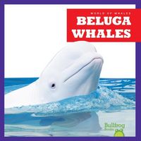 Produktbild: Beluga Whales