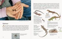 Wawra's Naturbuch – Unserer Natur auf der Spur, Bd. 1: Säugetiere, Vögel, Reptilien, Amphibien