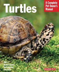 Produktbild: Turtles