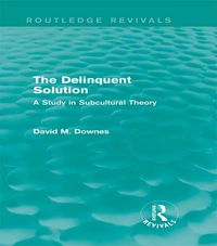 Produktbild: The Delinquent Solution (Routledge Revivals)
