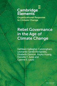 Produktbild: Rebel Governance in the Age of Climate Change