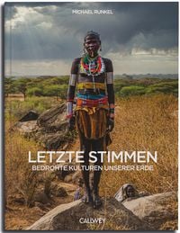 Produktbild: Letzte Stimmen
