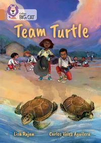 Produktbild: Team Turtle