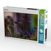 Produktbild: CALVENDO Puzzle Lila Blumen | 1000 Teile Lege-Gr&ouml;&szlig;e 64x48cm Foto-Puzzle f&uuml;r gl&uuml;ckliche Stunden
