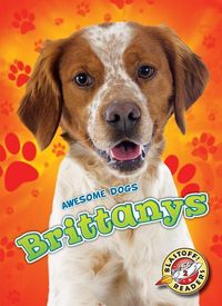Produktbild: Shaffer, L: Brittanys