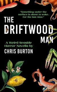 Produktbild: The Driftwood Man