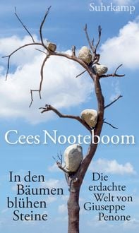 Produktbild: In den B&auml;umen bl&uuml;hen Steine