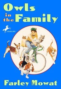 Produktbild: Owls in the Family