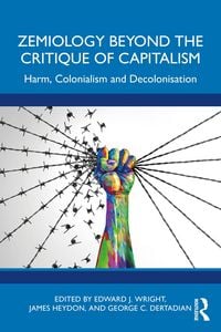 Produktbild: Zemiology Beyond the Critique of Capitalism