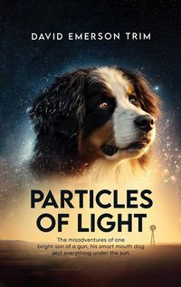 Produktbild: Particles of Light