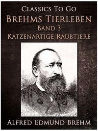 Produktbild: Ein stummer Musikant. Die Geschichte einer K&uuml;nstlerliebe