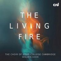 Produktbild: The living fire