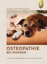 Bild vom Artikel Osteopathie bei Hunden vom Autor Christiane Gräff