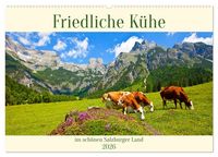 Produktbild: Friedliche K&uuml;he (Wandkalender 2026 DIN A2 quer), CALVENDO Monatskalender