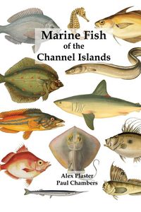 Produktbild: Marine Fish of the Channel Islands