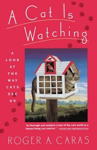 Produktbild: Cat Is Watching