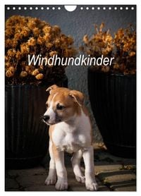 Produktbild: Windhundkinder (Wandkalender 2026 DIN A4 hoch), CALVENDO Monatskalender