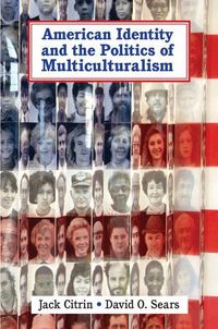 Produktbild: American Identity and the Politics of Multiculturalism