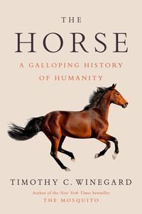 Produktbild: The Horse