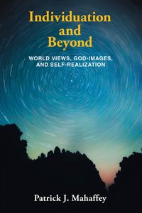 Produktbild: Individuation and Beyond