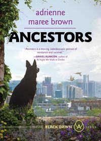 Produktbild: Ancestors