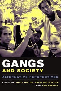 Produktbild: Gangs and Society