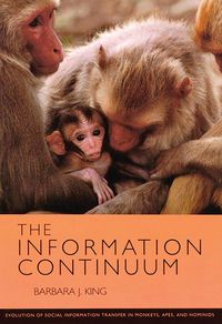 Produktbild: The Information Continuum