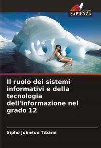 Produktbild: Il ruolo dei sistemi informativi e della tecnologia dell'informazione nel grado 12
