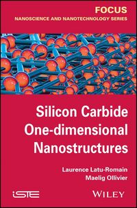 Produktbild: Silicon Carbide One-dimensional Nanostructures