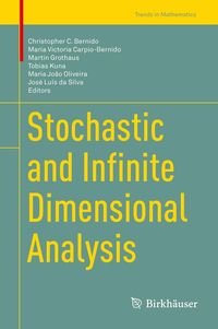 Produktbild: Stochastic and Infinite Dimensional Analysis