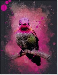 Bild vom Artikel Vögel auf Instagram Großes Notizheft (A5) Motiv Rosa Annakolibri vom Autor 