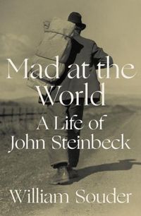 Produktbild: Mad at the World
