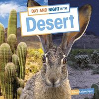 Produktbild: Day and Night in the Desert