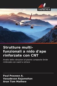 Produktbild: Strutture multi-funzionali a nido d'ape rinforzate con CNT