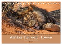Produktbild: Afrikas Tierwelt - L&ouml;wen (Tischkalender 2027 DIN A5 quer), CALVENDO Monatskalender