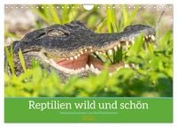 Produktbild: Reptilien wild und sch&ouml;n (Wandkalender 2026 DIN A4 quer), CALVENDO Monatskalender