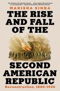 Produktbild: The Rise and Fall of the Second American Republic