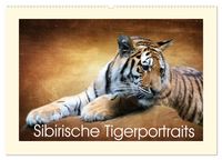 Produktbild: Sibirische Tigerportraits (Wandkalender 2026 DIN A2 quer), CALVENDO Monatskalender