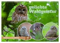Produktbild: geliebte Waldgeister (Wandkalender 2027 DIN A3 quer), CALVENDO Monatskalender